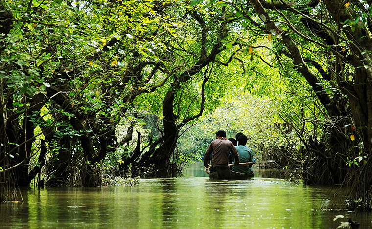 Ratargul: A Captivating Getaway Location