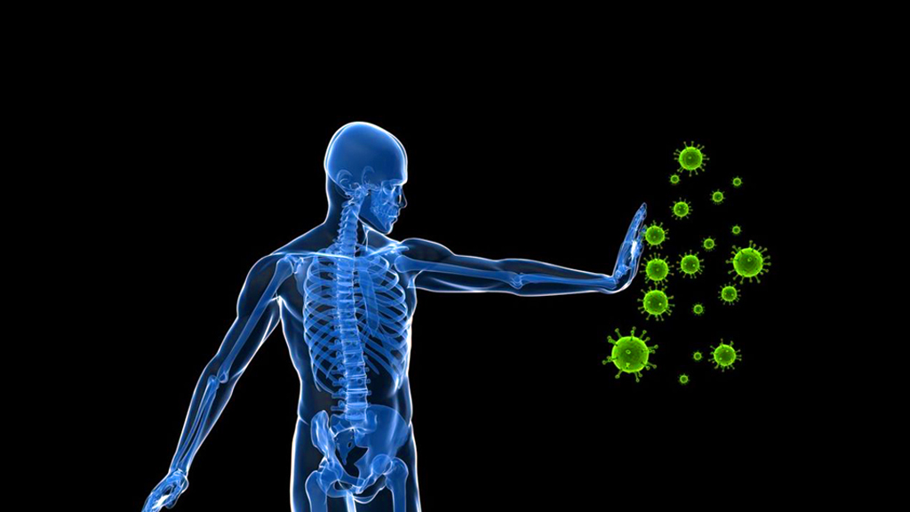 Super foods that can boost your immune system