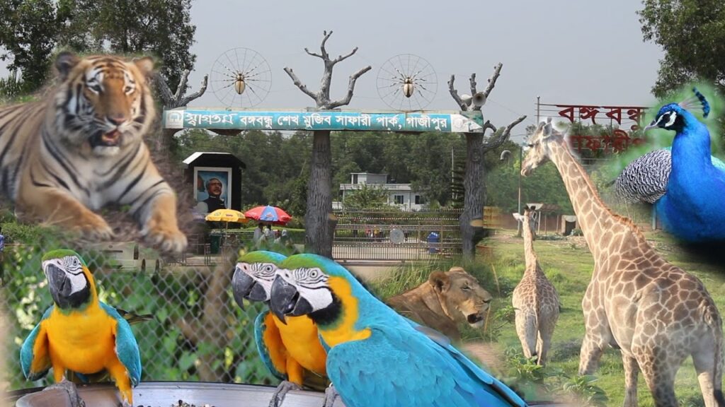 A tour around Bangabandhu Safari Park